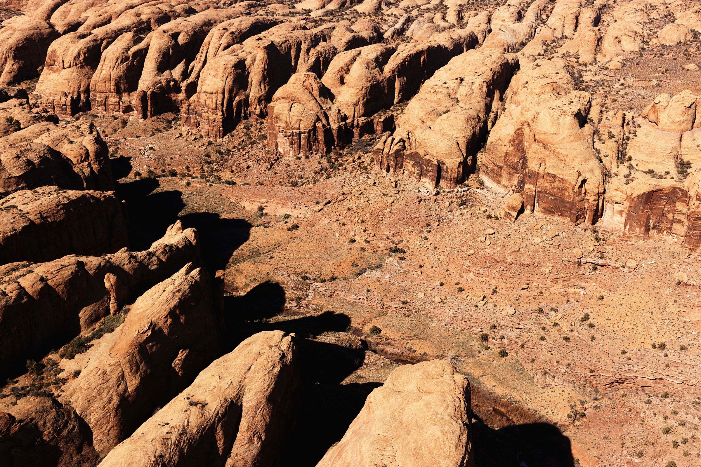 canyonlands national park, utah (3).webp